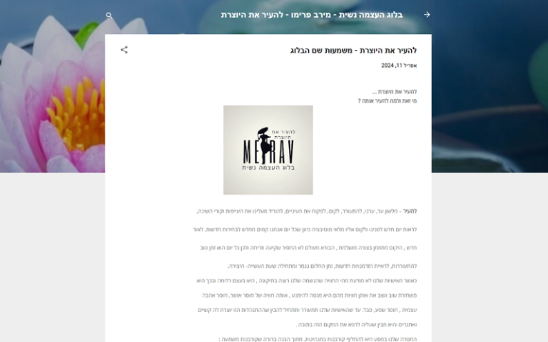 בלוג מקצועי – להעיר את היוצרת